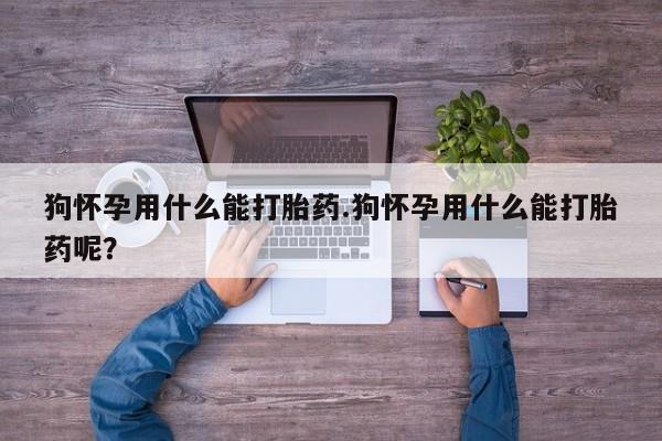 打胎药在哪里买得到狗怀孕用什么能打胎药.狗怀孕用什么能打胎药呢？