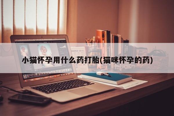 打胎药在哪里买得到小猫怀孕用什么药打胎(猫咪怀孕的药)