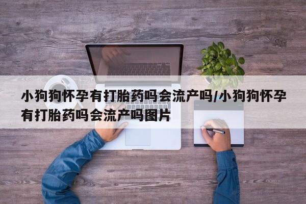 打胎药在哪里买得到小狗狗怀孕有打胎药吗会流产吗/小狗狗怀孕有打胎药吗会流产吗图片
