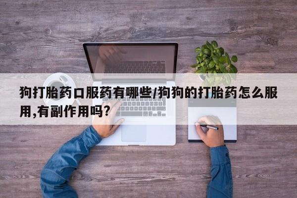 打胎药在哪里买得到狗打胎药口服药有哪些/狗狗的打胎药怎么服用,有副作用吗?