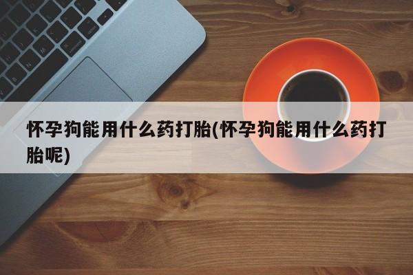 打胎药在哪里买得到怀孕狗能用什么药打胎(怀孕狗能用什么药打胎呢)